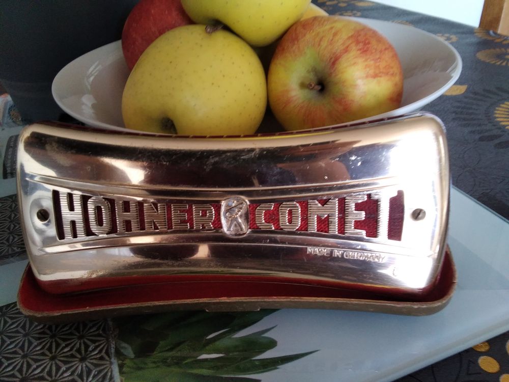 Armonika 0 Aureilhan (65)