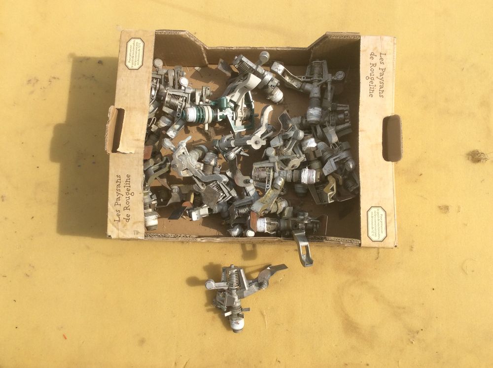 Arroseurs 0 Roques (31)