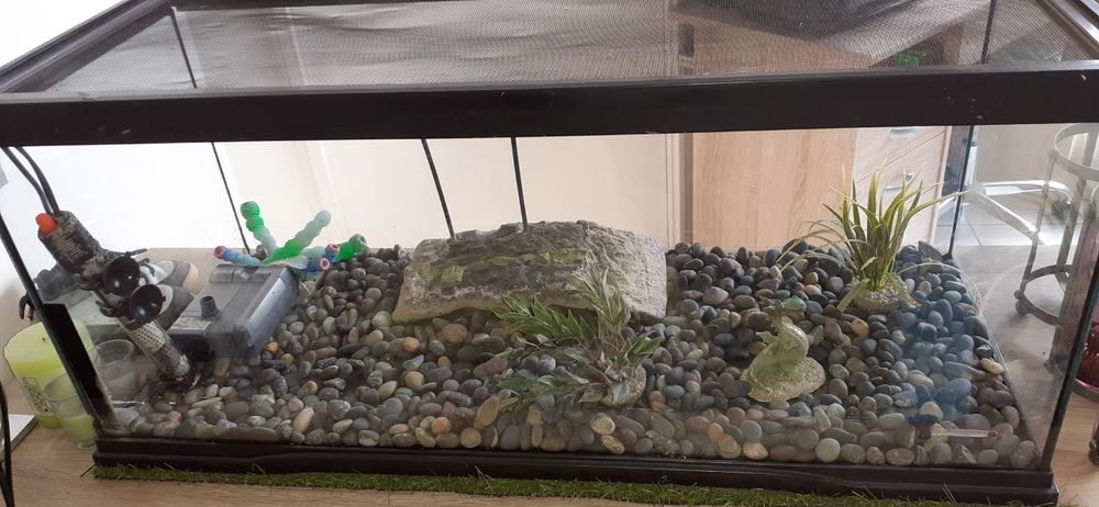 Lot de 5 articles pour  tortues  ou poissons 150 Viry-Ch�tillon (91)