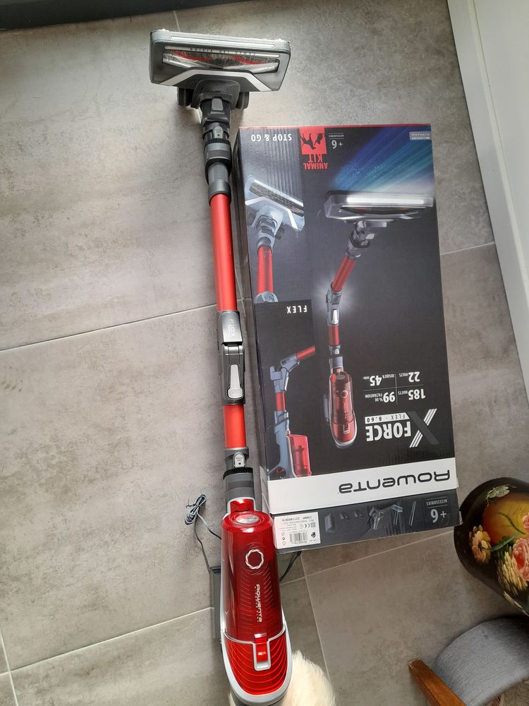 Aspirateur balai Rowenta X Force Flex 200 Saint-Hilaire-de-Riez (85)