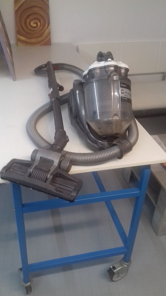 aspirateur dyson 50 Saint-Urcize (15)