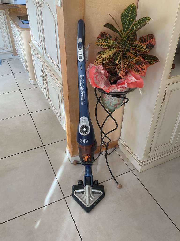 Aspirateur ROWENTA 80 Meyzieu (69)