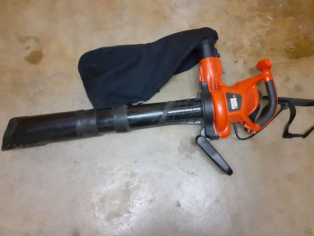 Aspirateur/souffleur � feuilles 80 Dijon (21)