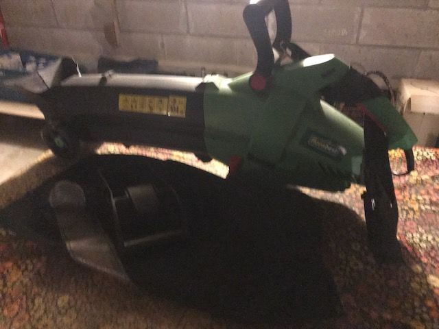 aspirateur-souffleur 10 Petite Synthe (59)