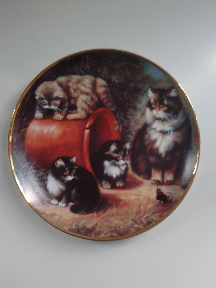 Achetez Assiette Chat Occasion Annonce Vente A Barentin 76 Wb