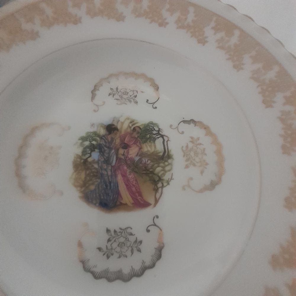 6 Assiette Creuse Porcelaine De Limoges 30 Fleury-les-Aubrais (45)