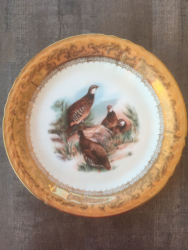 Assiette d�corative en porcelaine 20 N�mes (30)