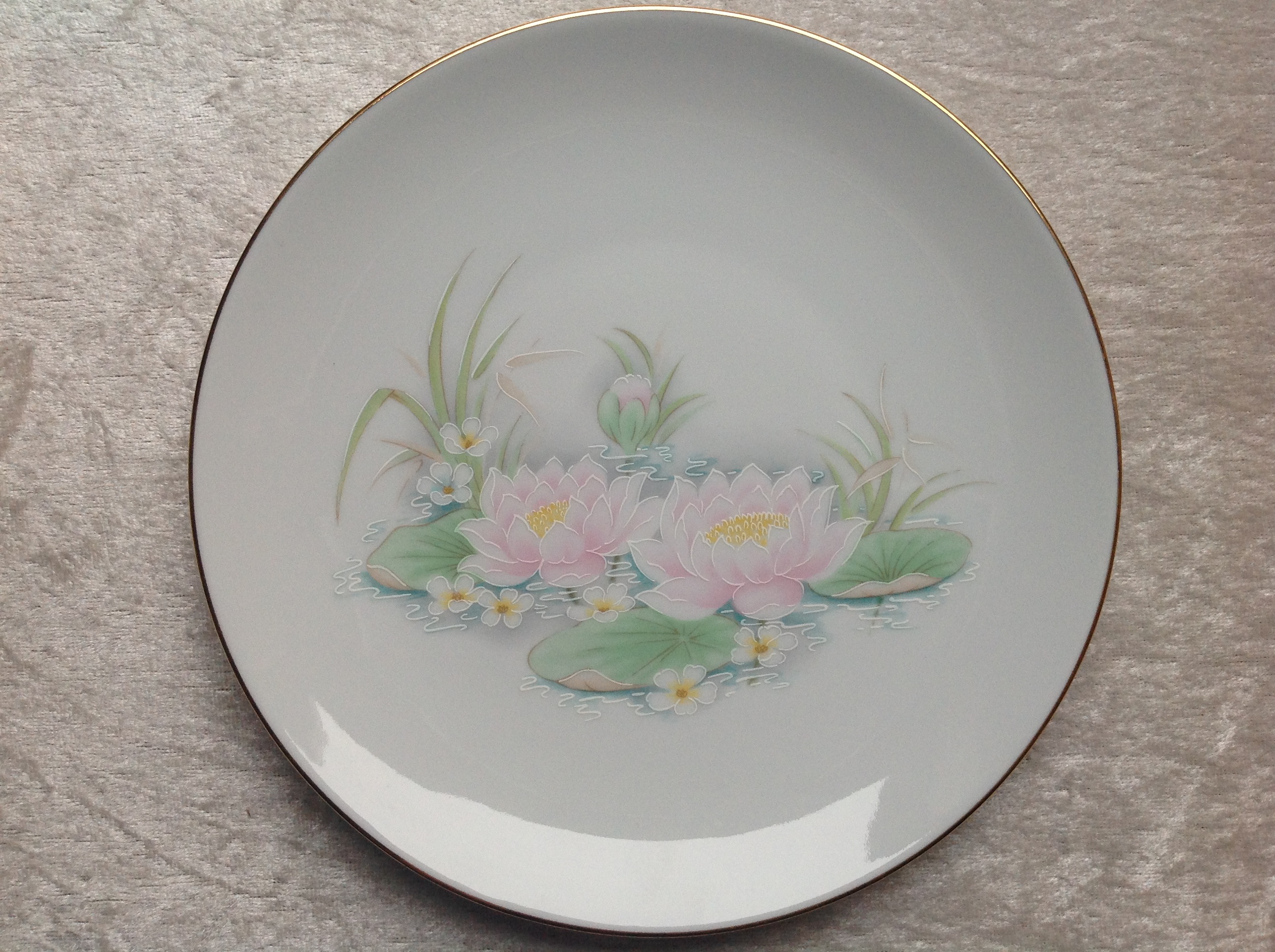 ASSIETTE DESSERT LIMOGES D�COR PORCELAINE SOLOGNE Envoi Poss 18 Tr�gunc (29)