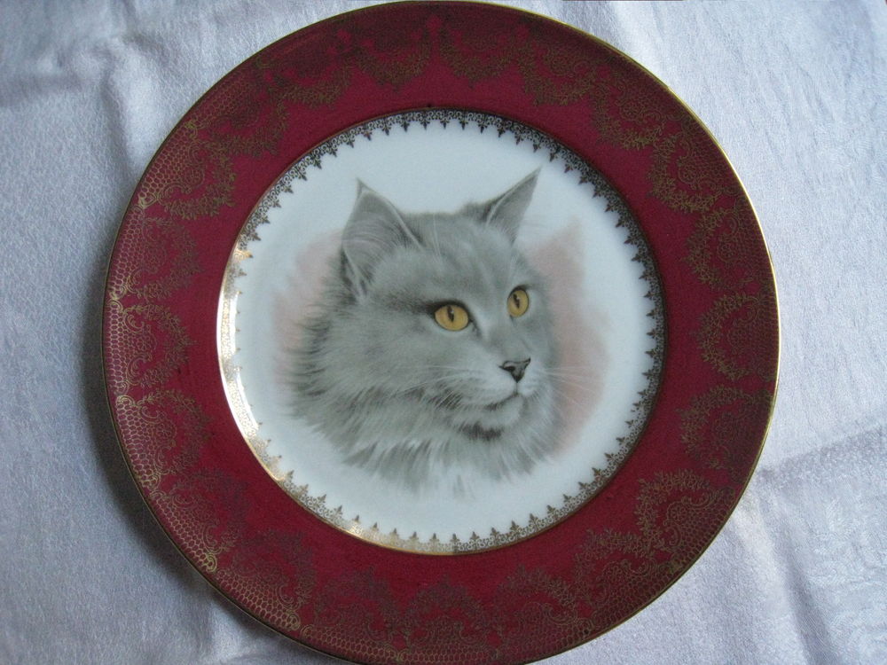 Assiette t�te de chat Limoges 15 Vinay (38)