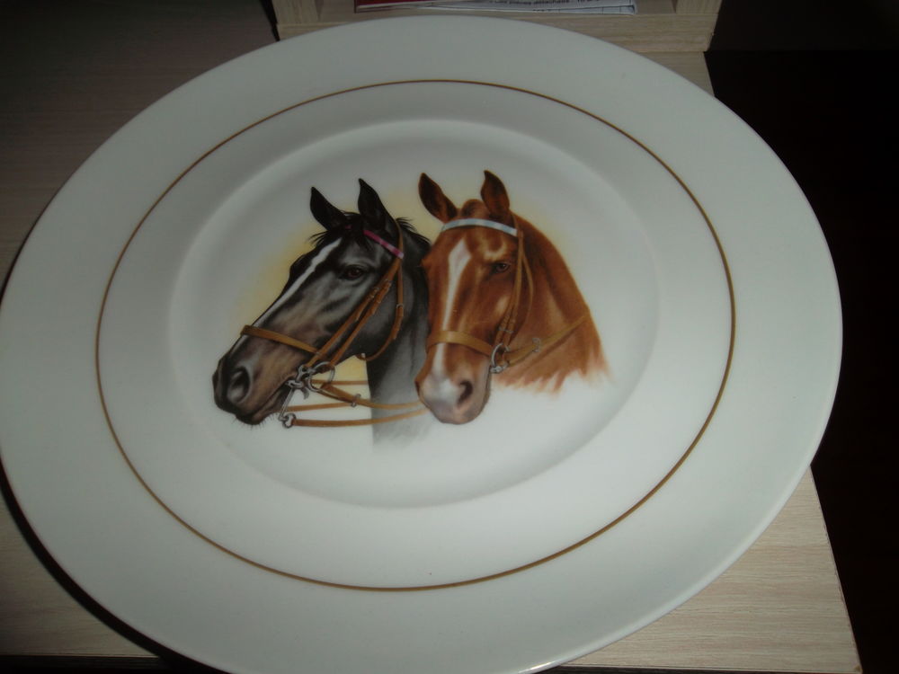 assiette 10 Rumilly (74)