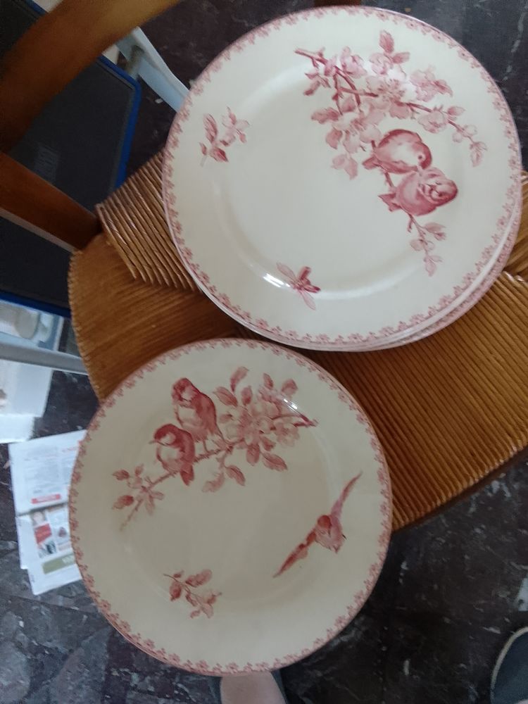 Lot d assiette 120 Decize (58)