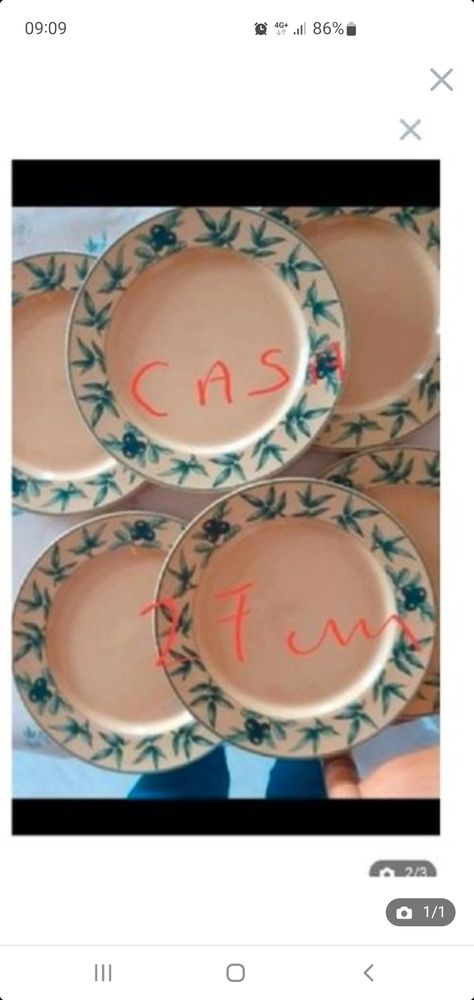 lot 6 assiettes casa tr�s bon �tat. 15 Bron (69)