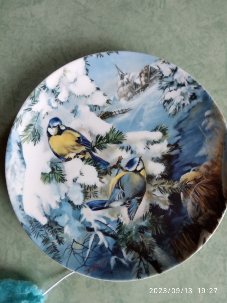 9 assiettes d�cor Chinois + 1 assiette d�cor oiseaux 35 Limerzel (56)