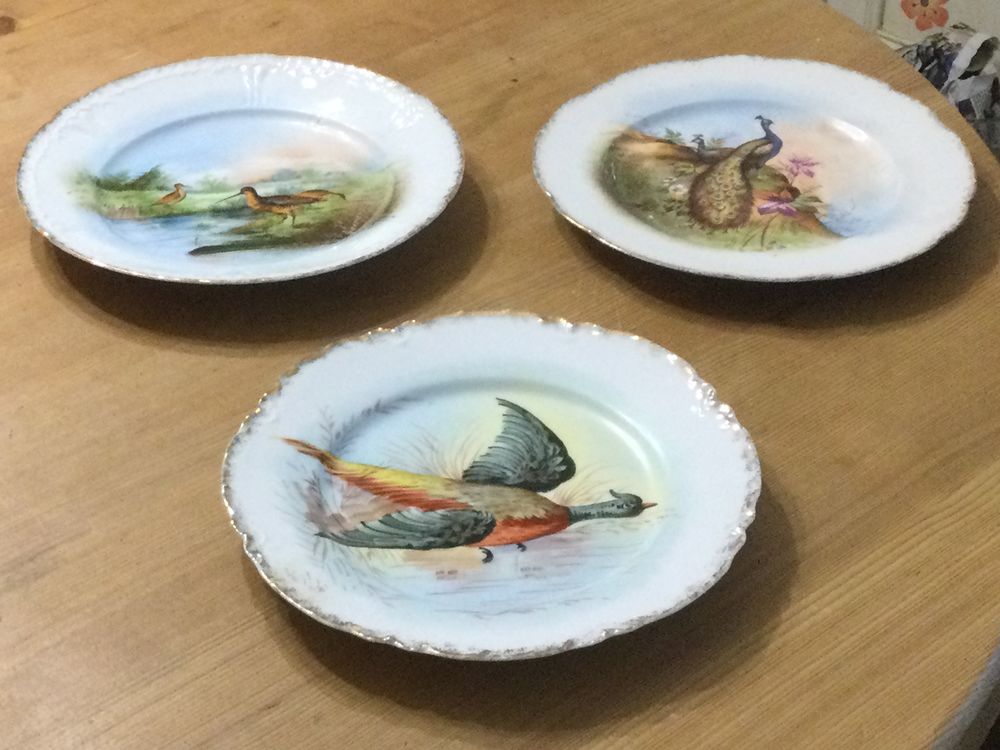 Assiettes d�coratives en porcelaine motif oiseaux 150 Toulouse (31)