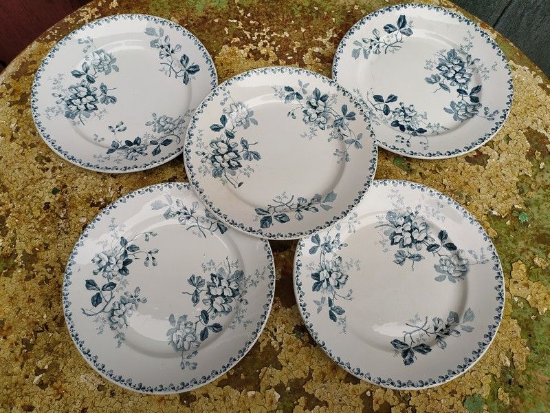 Assiettes Fa�ence Terre de Fer Saint-Amand Hamage Acacia 40 Loches (37)