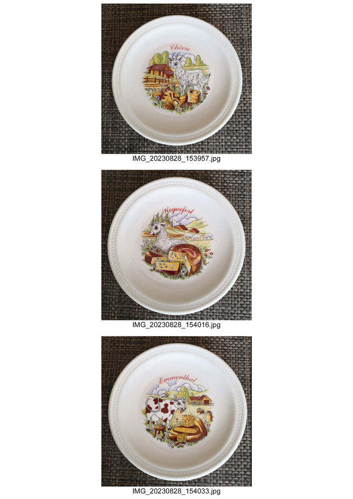 assiettes � fromage porcelaine Limoges RENAUD CLERMONT 18 Tournefeuille (31)