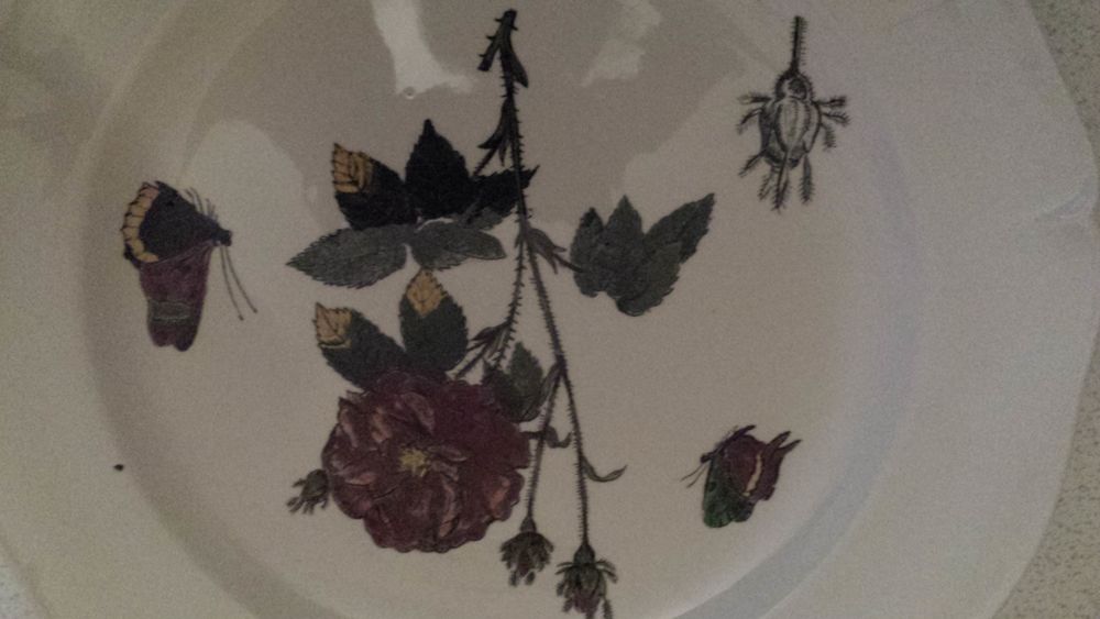 Assiettes  giem  de Collection 20 Nice (06)