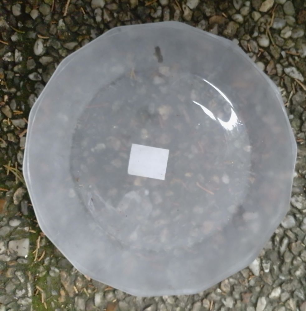 6 assiettes ikea opaque 14 Beauchamp (95)