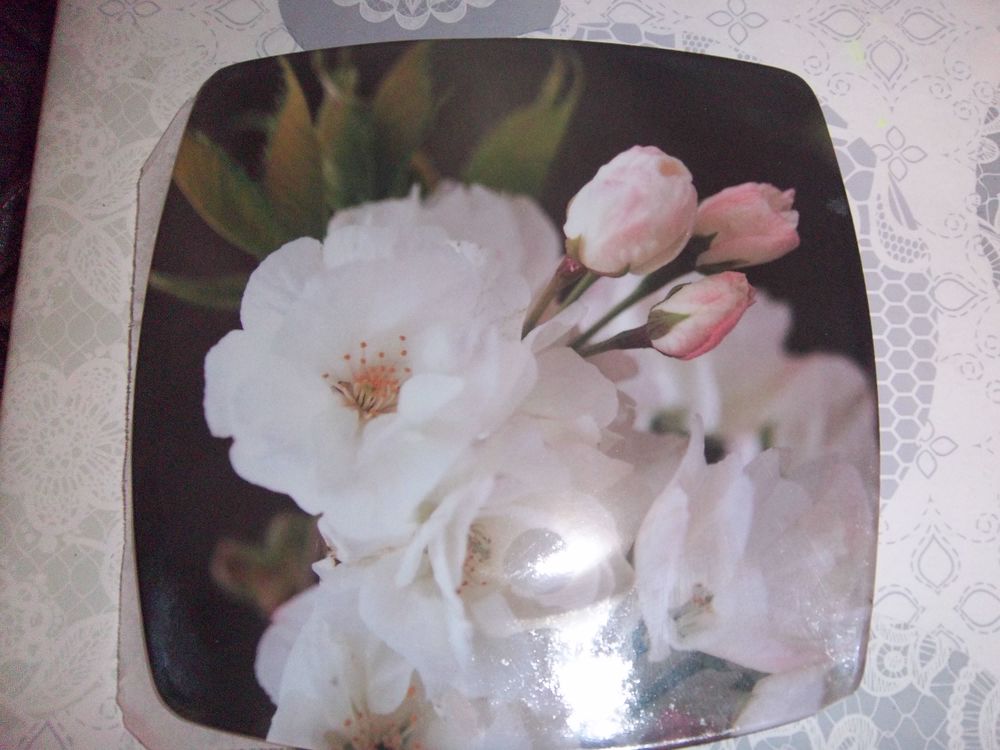 assiettes plastique 3 Bossay-sur-Claise (37)