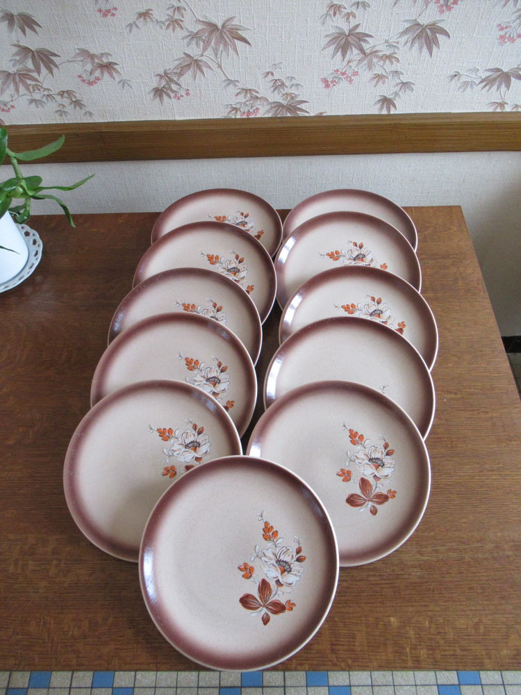Assiettes plates fa�ence de Saint Amand mod�le Eglantine 25 M�ry-�s-Bois (18)