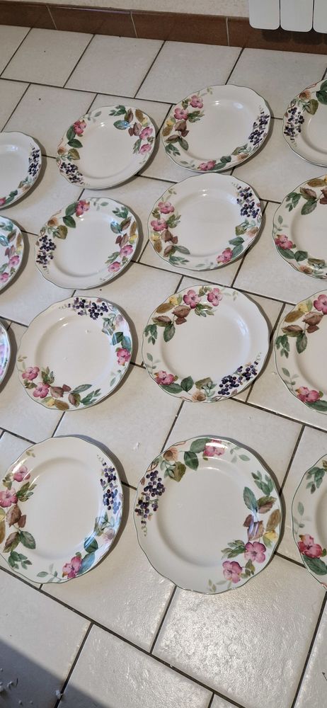13 assiettes  porcelaine fine 3 Beaumont-Hague (50)