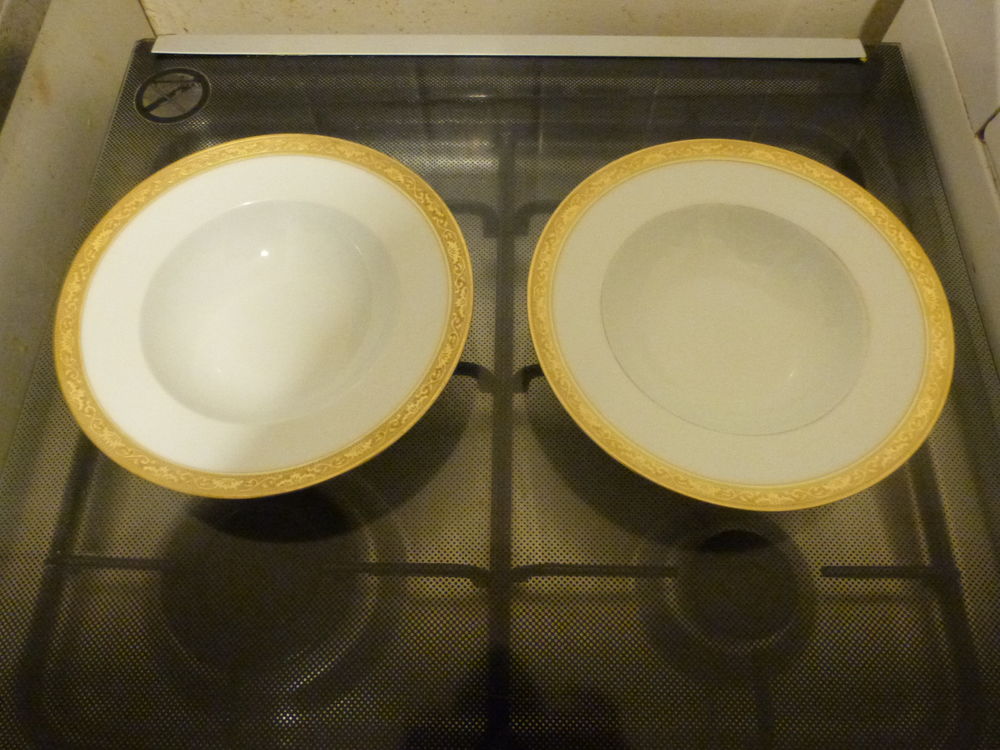 Assiettes en Porcelaine de Limoges Raynaud & Cie  250 Paris 20 (75)