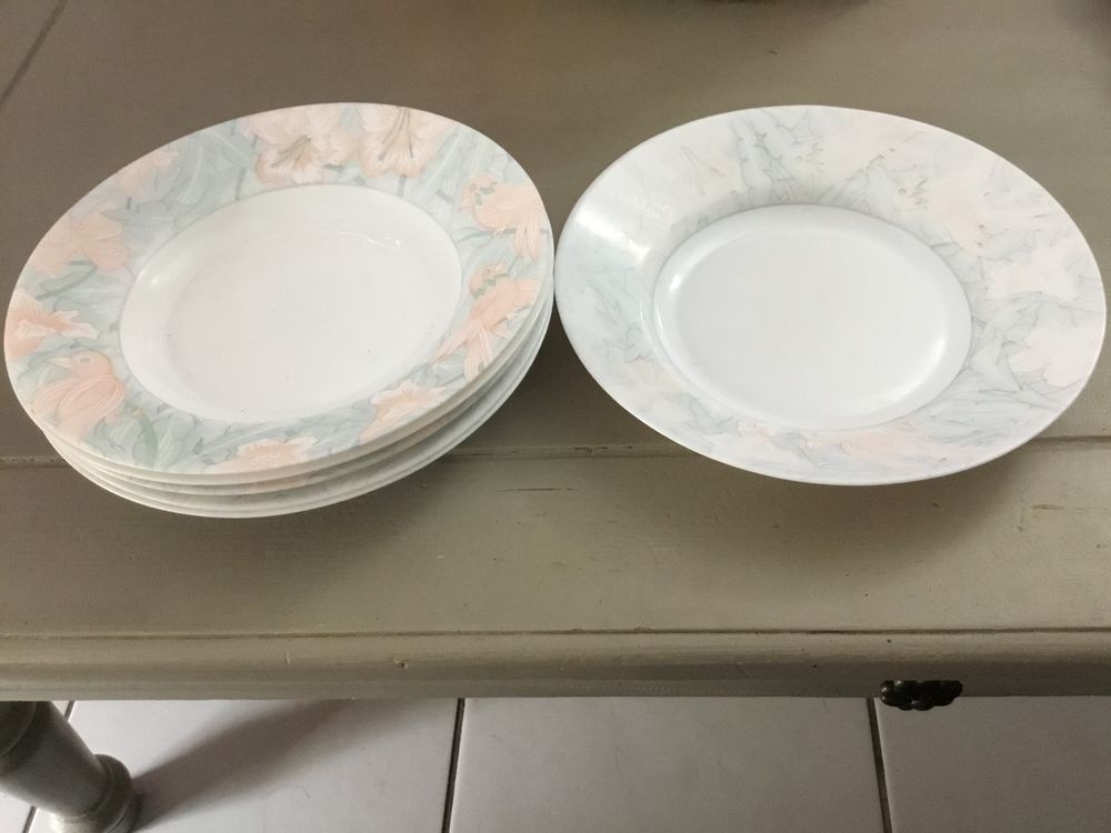 Assiettes � soupe arcopal 5 Roquefort-les-Pins (06)