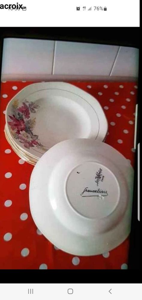 lot 6 assiettes � soupe sarreguemines franceline en fa�ence 30 Bron (69)