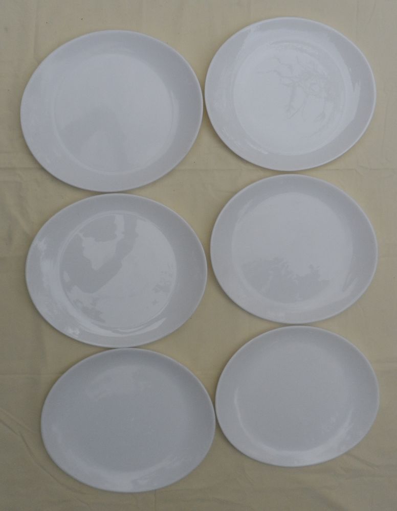 6 assiettes � steak ovales en porcelaine
Vintages - Neufs 40 Castries (34)