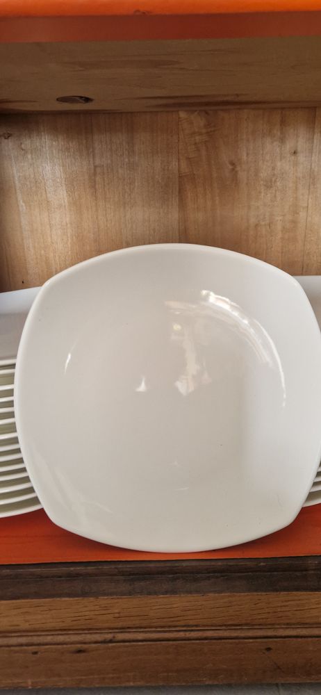 Lot 45 Assiettes 50 Ganges (34)