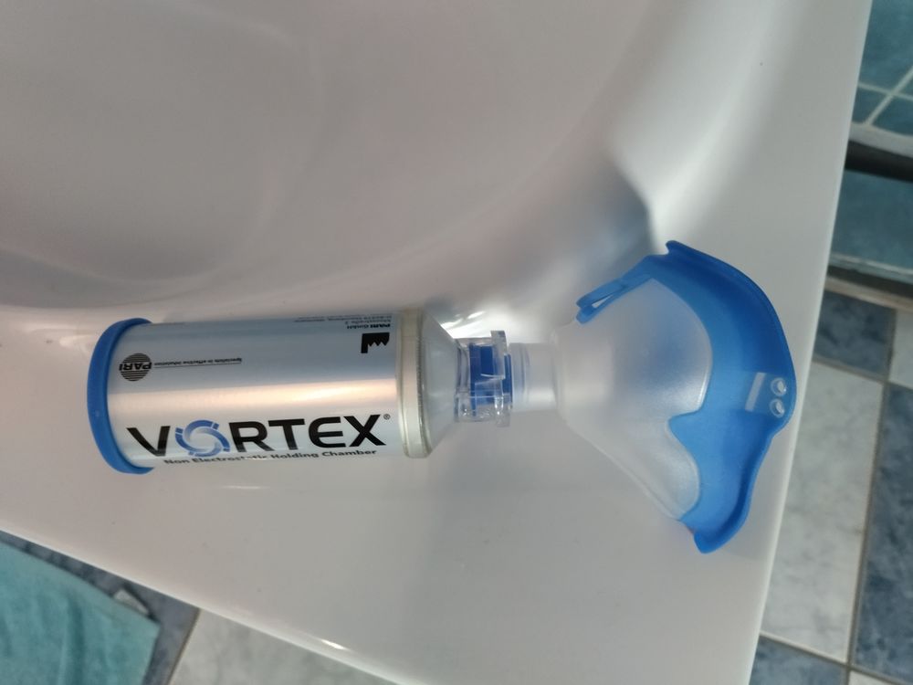 asthme 10 Plouasne (22)