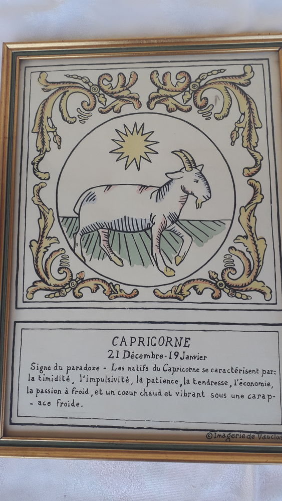 Astrologie Capricorne
35 Salon-de-Provence (13)
