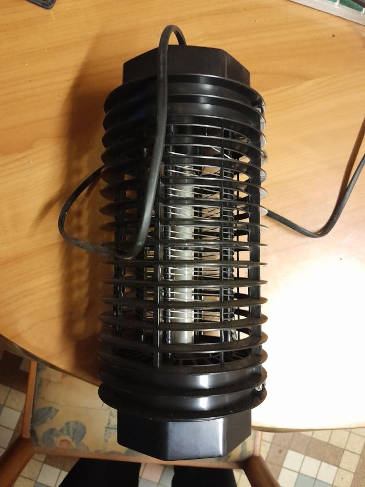 attrape mouche 10 Le Ribay (53)