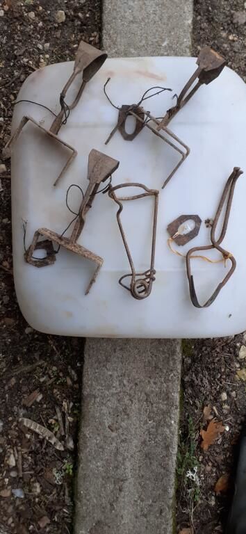 attrappe taupe 5 Courmemin (41)