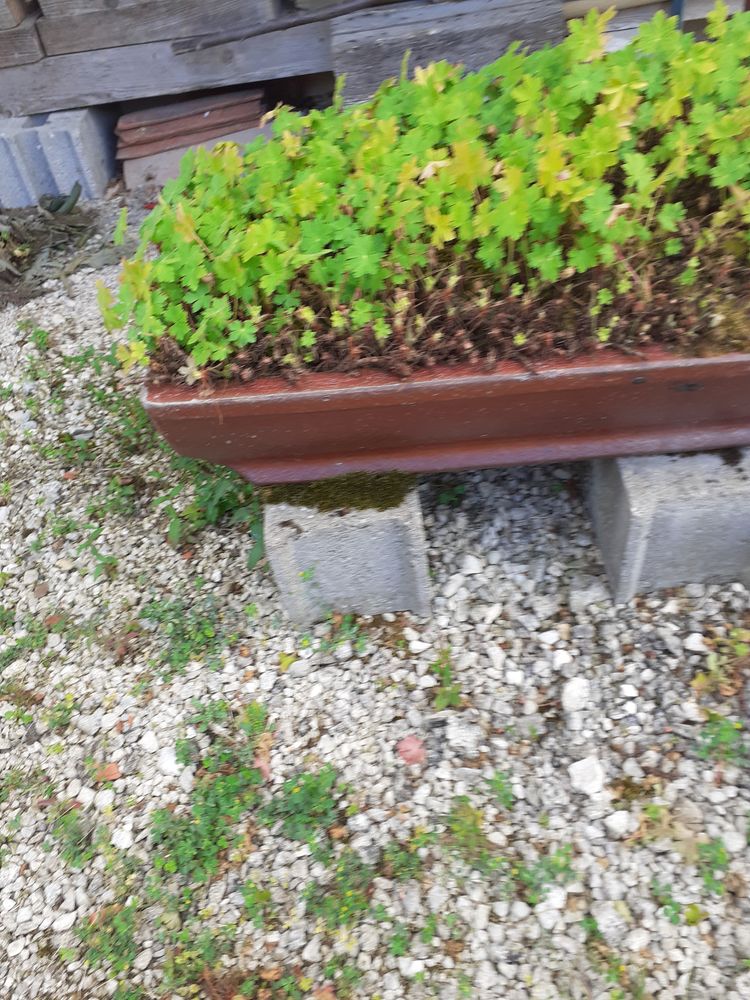 2 auches en gres 40 Mandeure (25)