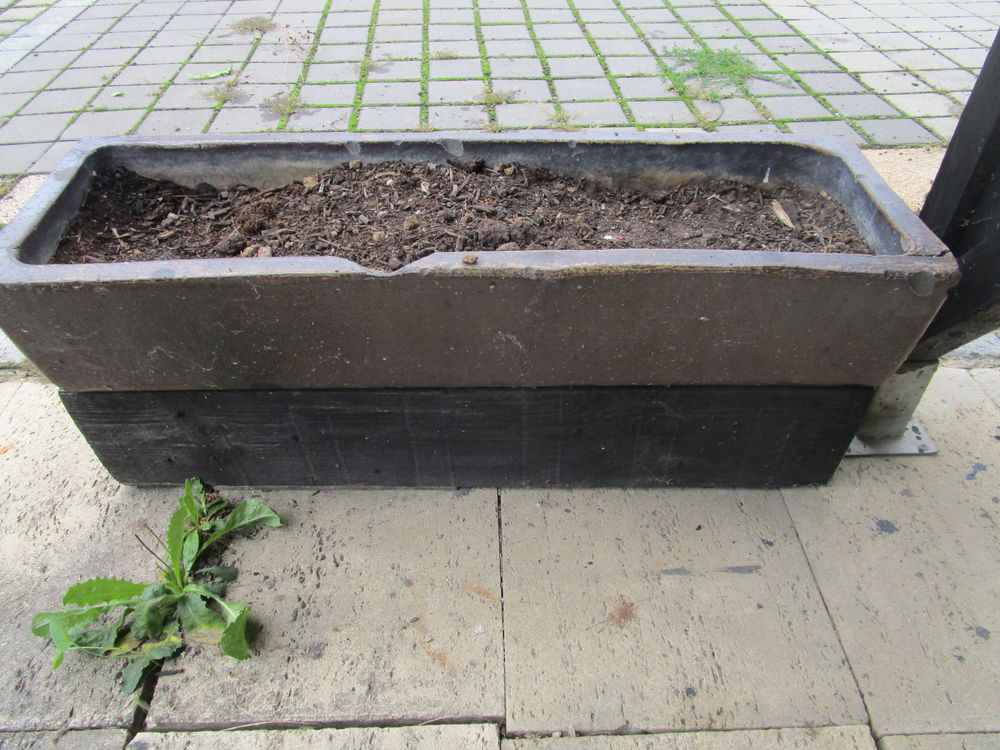 Auge jardini�re pour entr�e ou autre 250 Illzach (68)