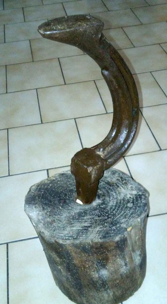 Authentique Pied de Cordonnier 50 Sallaumines (62)