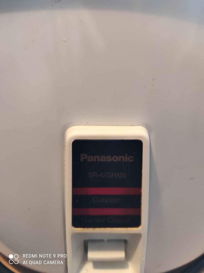 AUTOCUISEUR PANASONIC PROFESSIONNEL 120 Narbonne (11)