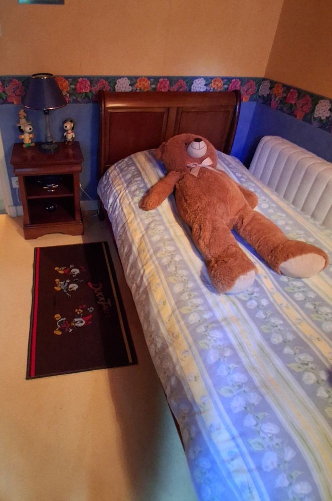 Lit 90 avec chevet merisier Louis Philippe 95 Saint-B�rain (43)