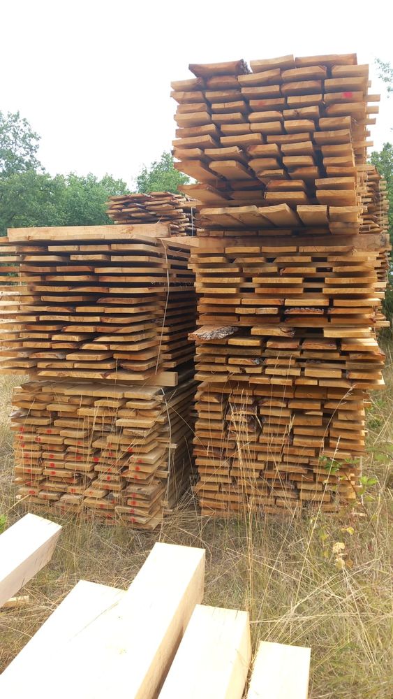 Aviv� de ch�ne (�paisseur 27mm) 17 Ch�tel-Censoir (89)