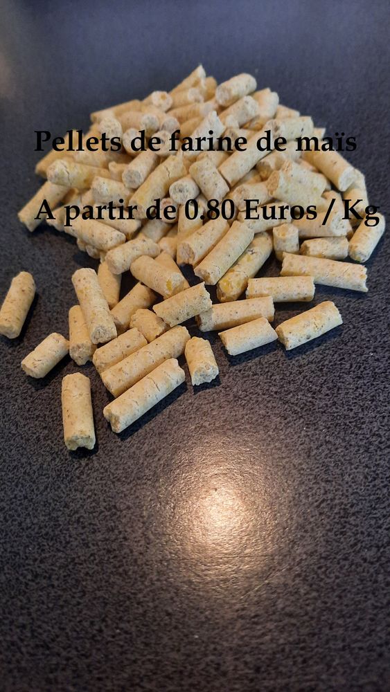 BABY -CORN MA�S ET CHENEVIS POUR CARPISTES ET AUTRES. 1 Soultz-sous-For�ts (67)