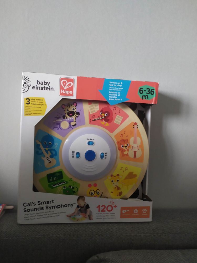 Baby Einstein hape 25 Talant (21)