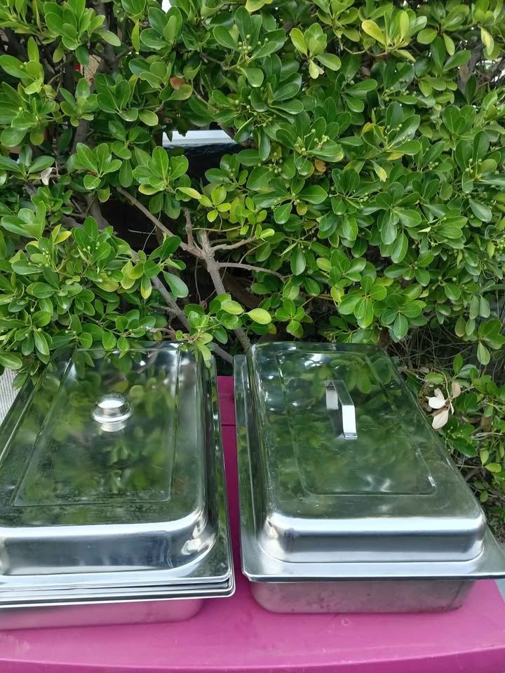 3 bacs gastronomiques pour cuisiner inox 53 X 32 X 10 cm 
50 Agde (34)