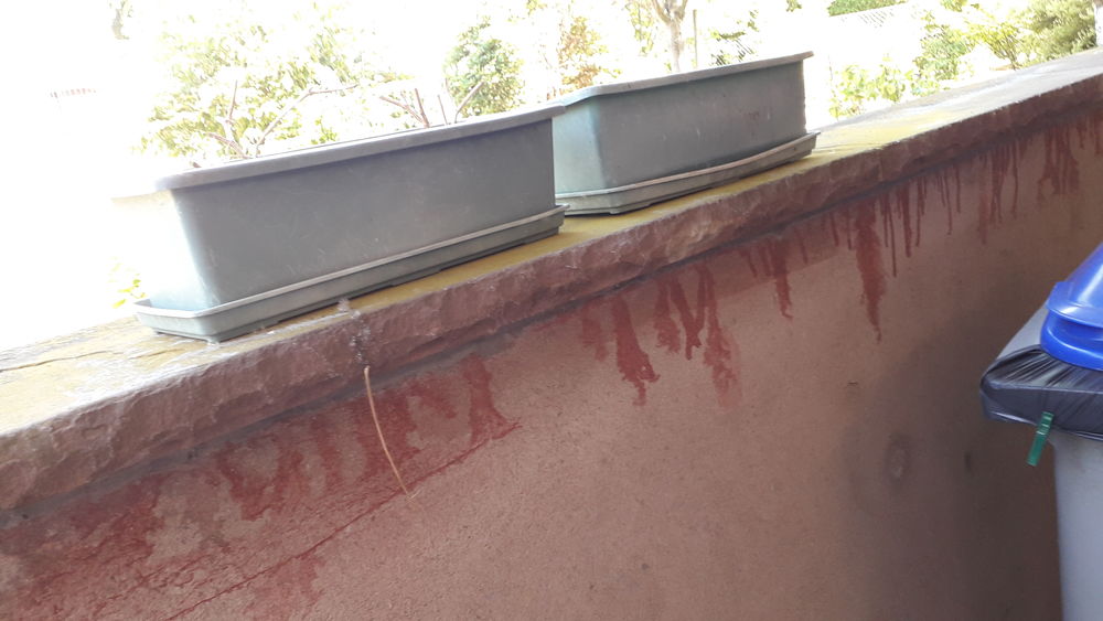 bacs jardini�res avec soucoupe pour plantation g�ranium 1 Fegersheim (67)