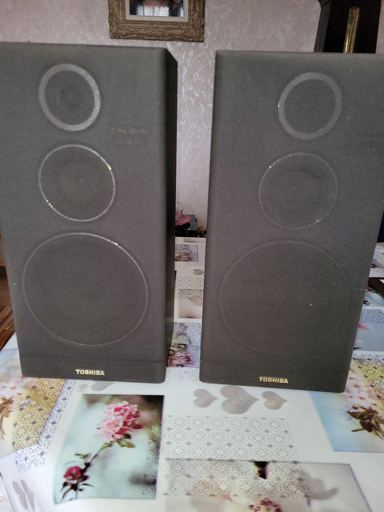 2 Baffes TOSHIBA 20 La Chauss�e-d'Ivry (28)