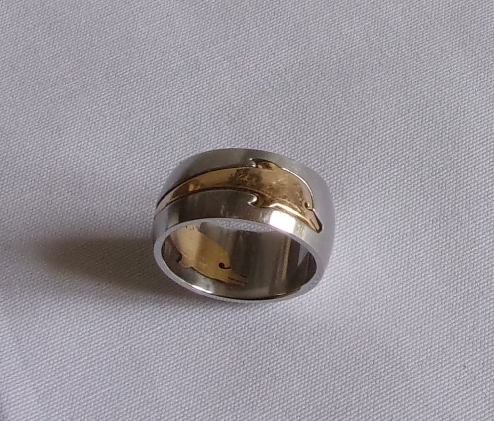 Bague OR 750 et ACIER 42 Saint-Mihiel (55)