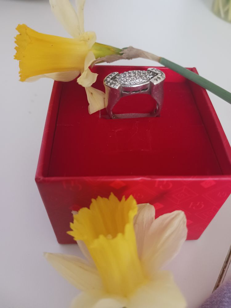 Bague en argent et  pierre en diamants 350 Chef-Boutonne (79)