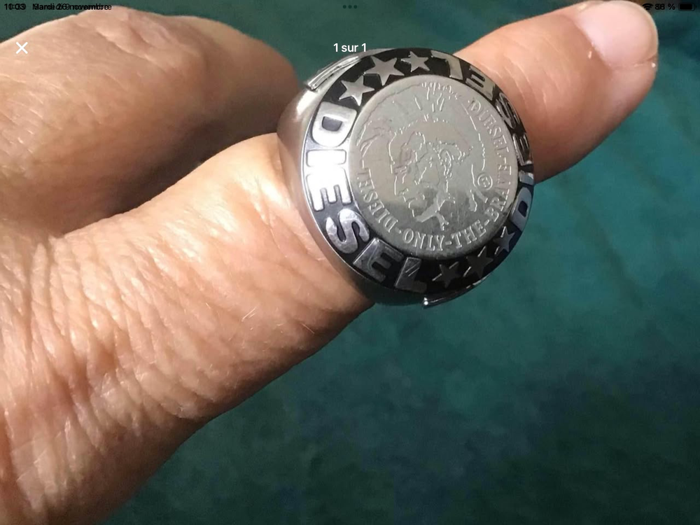 Bague diesel 50 Varennes-sur-Seine (77)