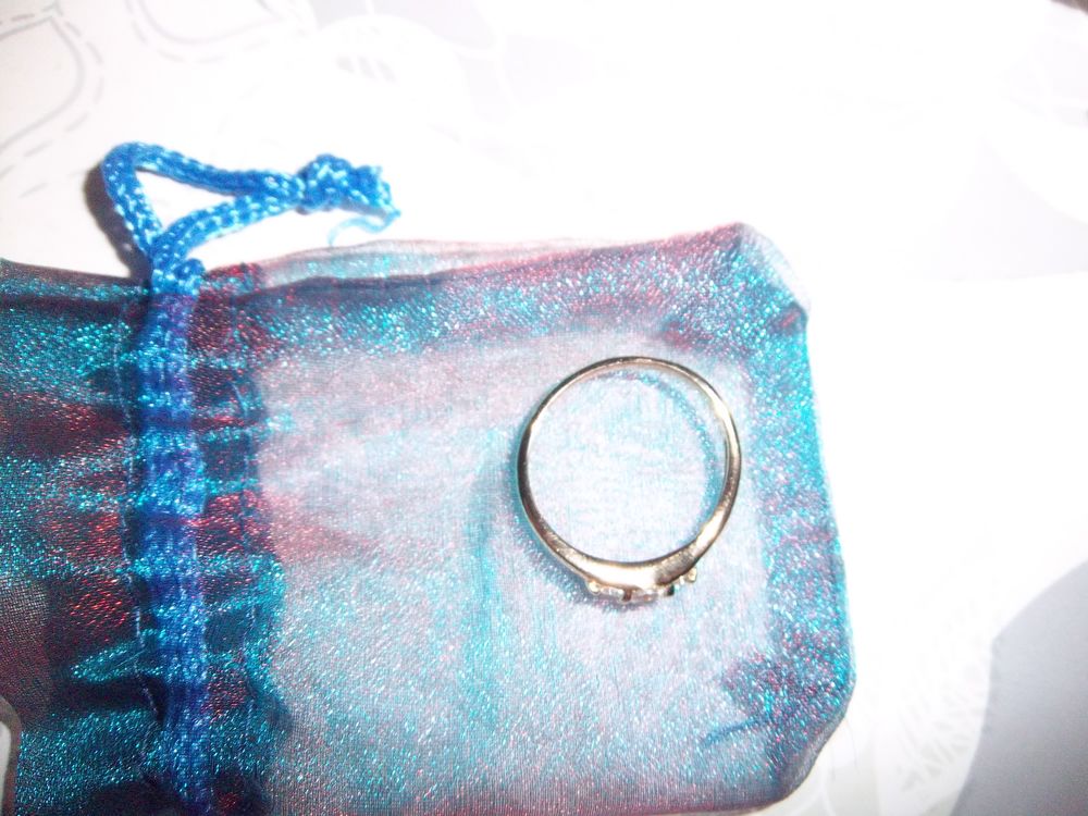 Bague fantaisie 1 Bossay-sur-Claise (37)