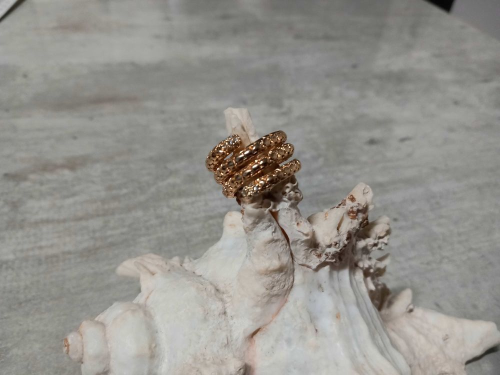 Bague Jonc 2 Brignoles (83)